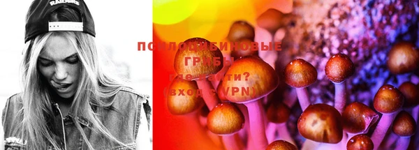 PSILOCYBIN Остров