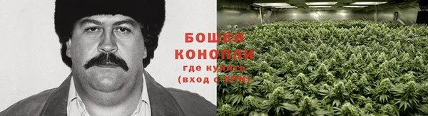 гашишное масло Осинники