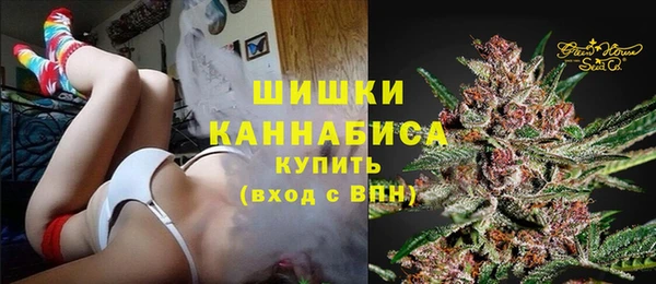 PSILOCYBIN Остров